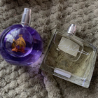 Отзывы Yohji Yamamoto Yohji Pour Femme (2013)