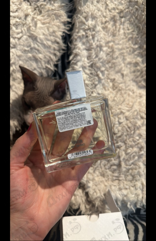 Купить Yohji Pour Femme (2013) от Yohji Yamamoto