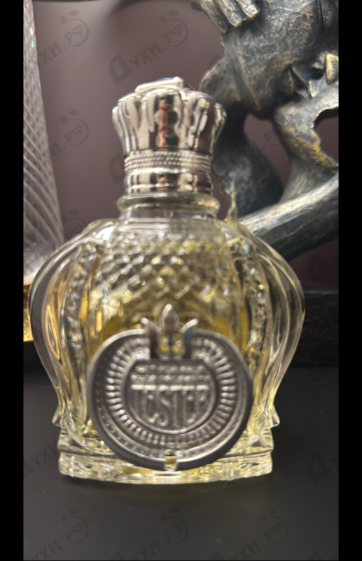 Купить Shaik 77