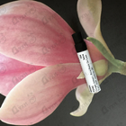 Отзыв Giorgio Armani Prive Pierre De Lune