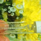Духи Chance Eau Tendre от Chanel