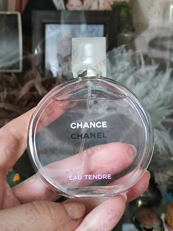 Купить Chance Eau Tendre от Chanel