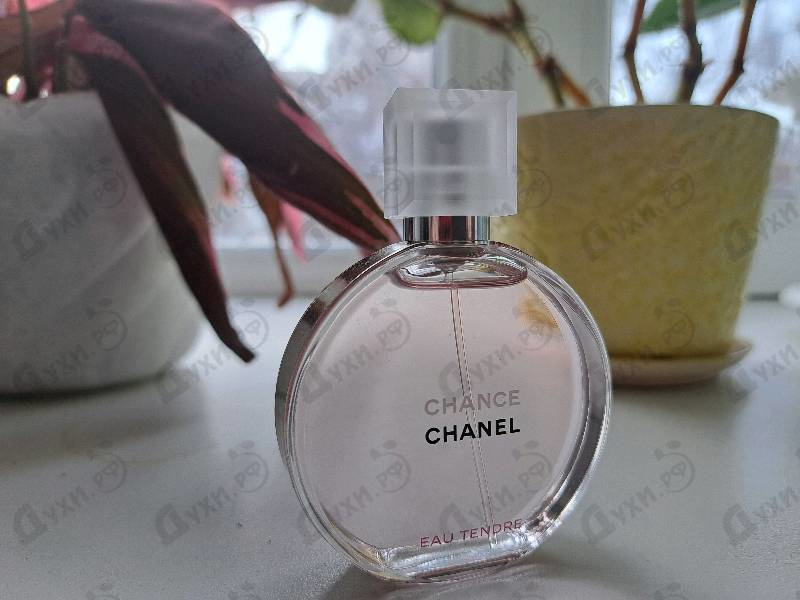 Парфюмерия Chance Eau Tendre от Chanel