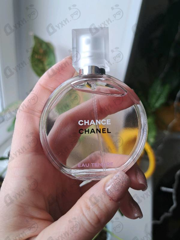 Купить Chanel Chance Eau Tendre