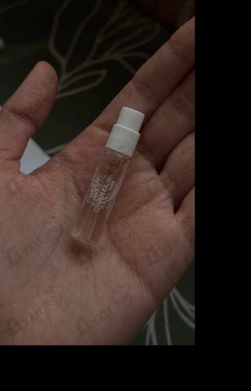 Купить Chance Eau Tendre от Chanel