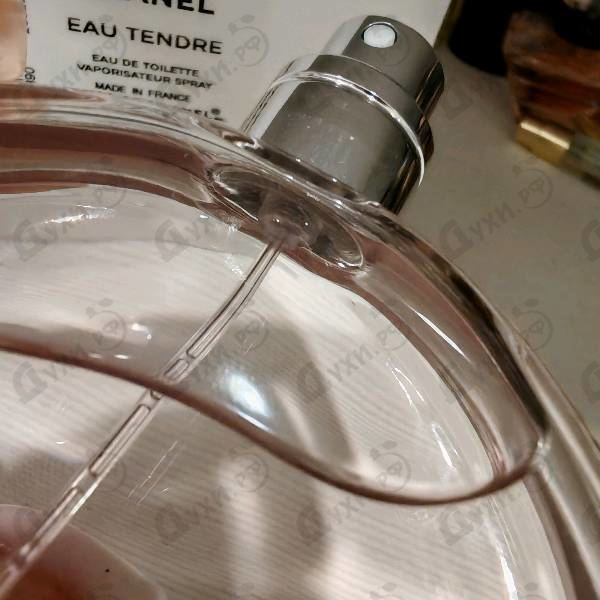Купить Chance Eau Tendre от Chanel