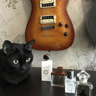 Парфюм Dsquared2 She Wood Velvet Forest