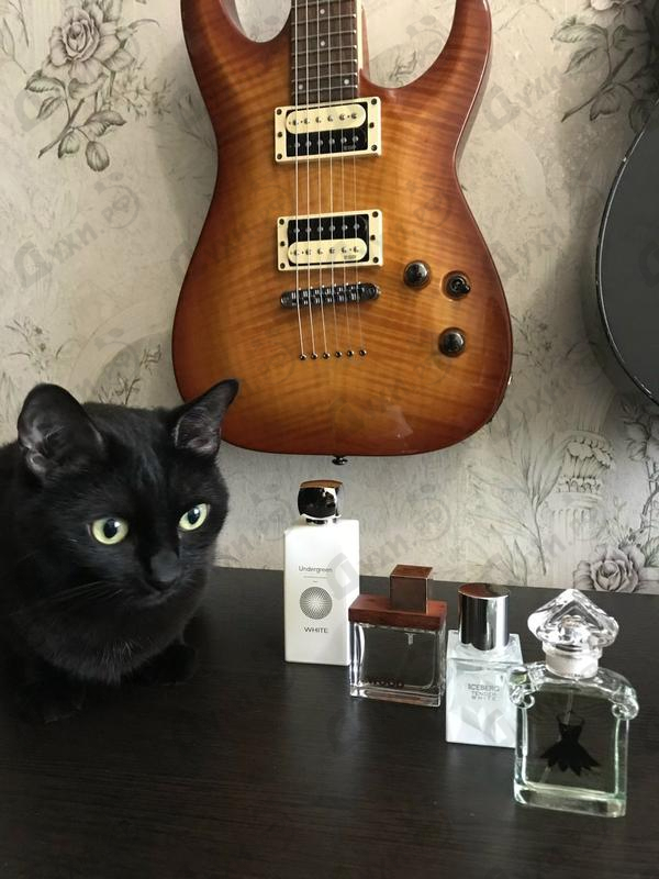 Парфюмерия Dsquared2 She Wood Velvet Forest Купить She Wood Velvet Forest от Dsquared2