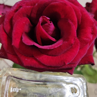 Отзыв Escentric Molecules Escentric 01