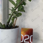 Отзыв Escentric Molecules Escentric 02