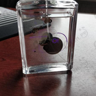 Отзывы Escentric Molecules Molecule 01