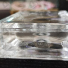 Отзыв Escentric Molecules Molecule 01