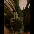 Отзывы Escentric Molecules Molecule 01