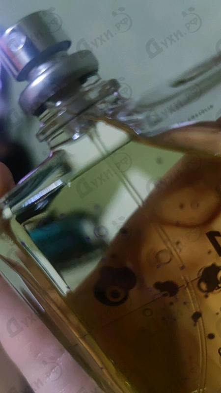 Отзыв Escentric Molecules Molecule 01