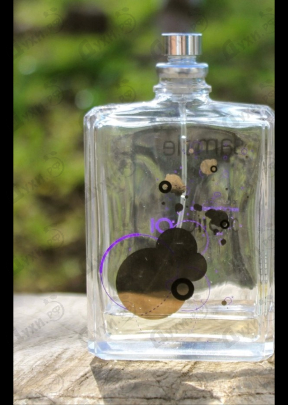 Парфюмерия Molecule 01 от Escentric Molecules