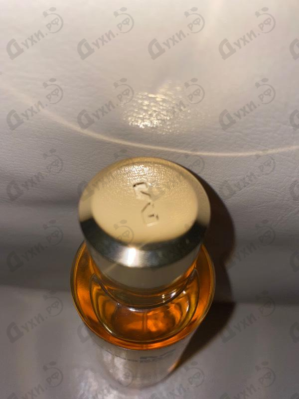 Парфюмерия Intensitive Aoud Gold от Mancera Отзыв Mancera Intensitive Aoud Gold
