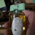 Отзывы Penhaligon's Lily Of The Valley