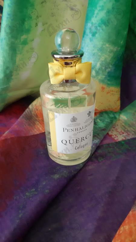 Парфюмерия Quercus от Penhaligon's