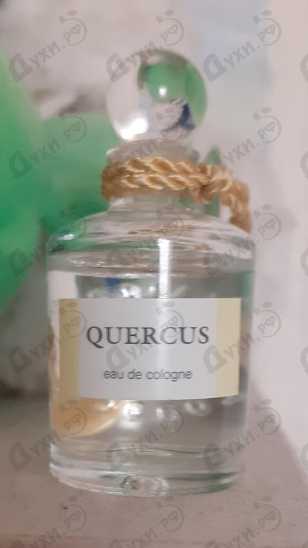 Духи Quercus от Penhaligon's