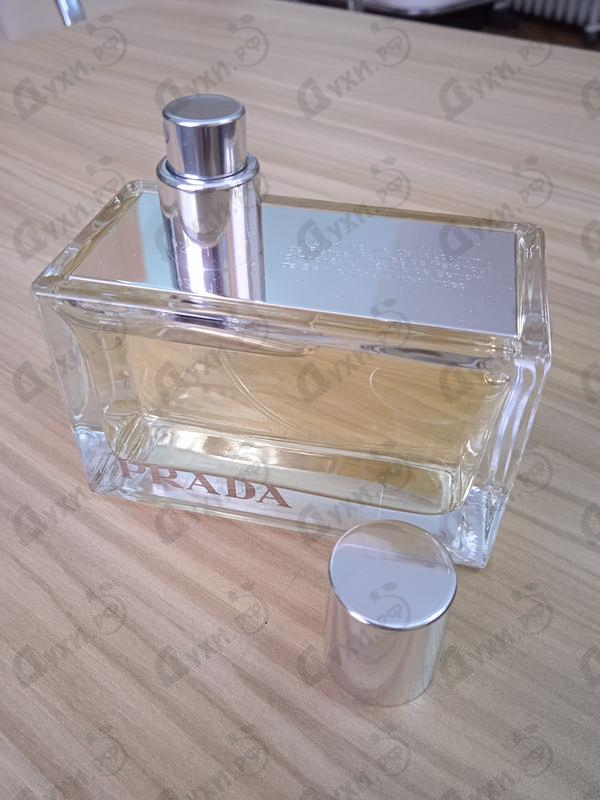 Купить Amber от Prada