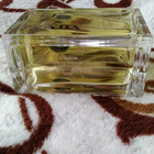 Отзыв Prada Amber