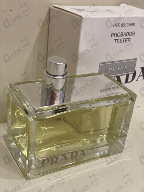 Купить Prada Amber