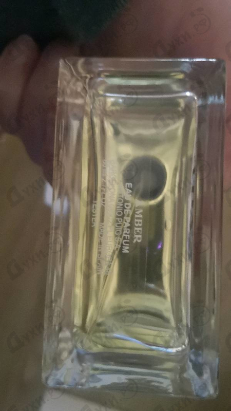 Купить Prada Amber