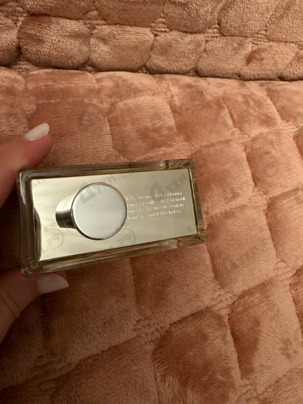 Купить Amber от Prada