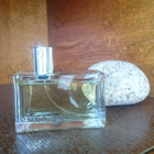 Отзывы Prada Amber