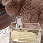 Парфюм Prada Amber