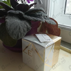 Духи Zen от Shiseido