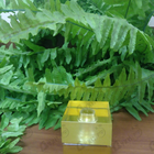 Отзывы Shiseido Zen