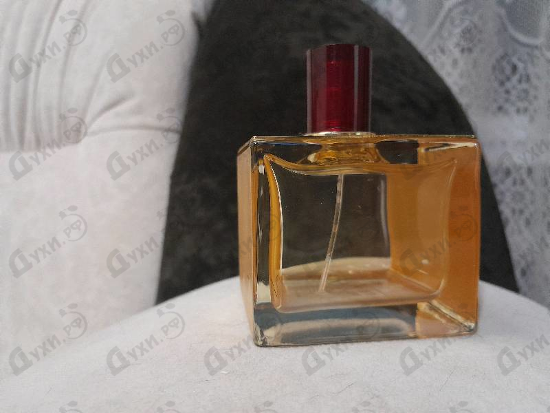 Купить Zen от Shiseido