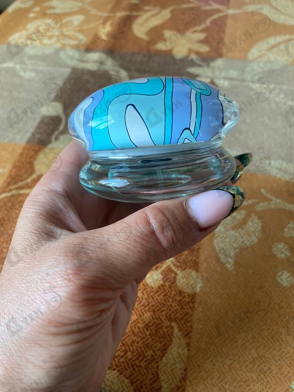 Купить Emilio Pucci Variazioni Acqua 330 (2009)