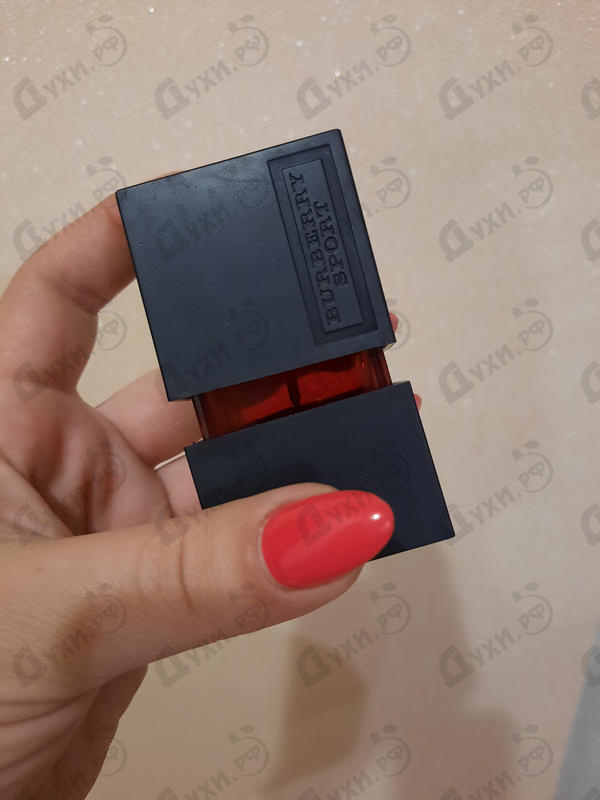 Купить Sport от Burberry