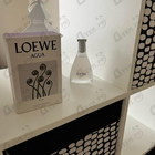 Отзыв Loewe Agua De Loewe Ella