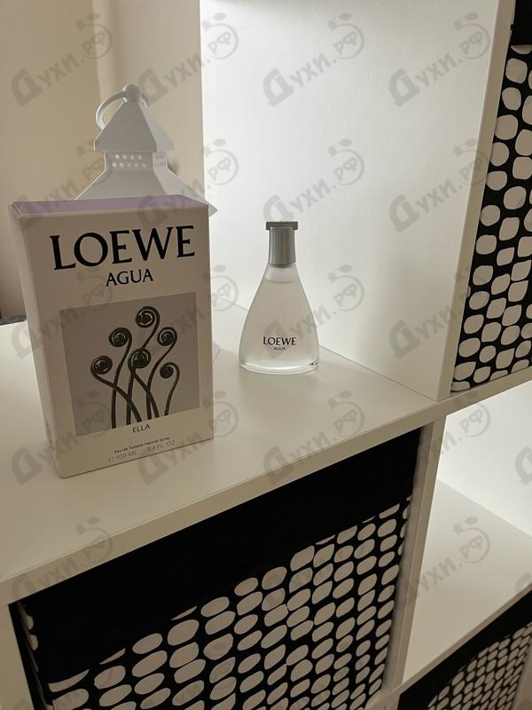 Отзывы Loewe Agua De Loewe Ella Духи Agua De Loewe Ella от Loewe