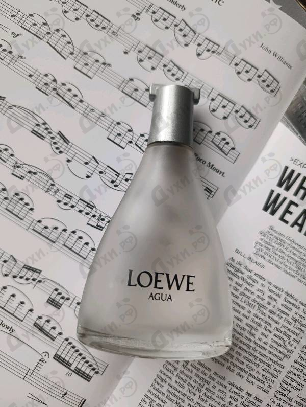 Купить Loewe Agua De Loewe Ella