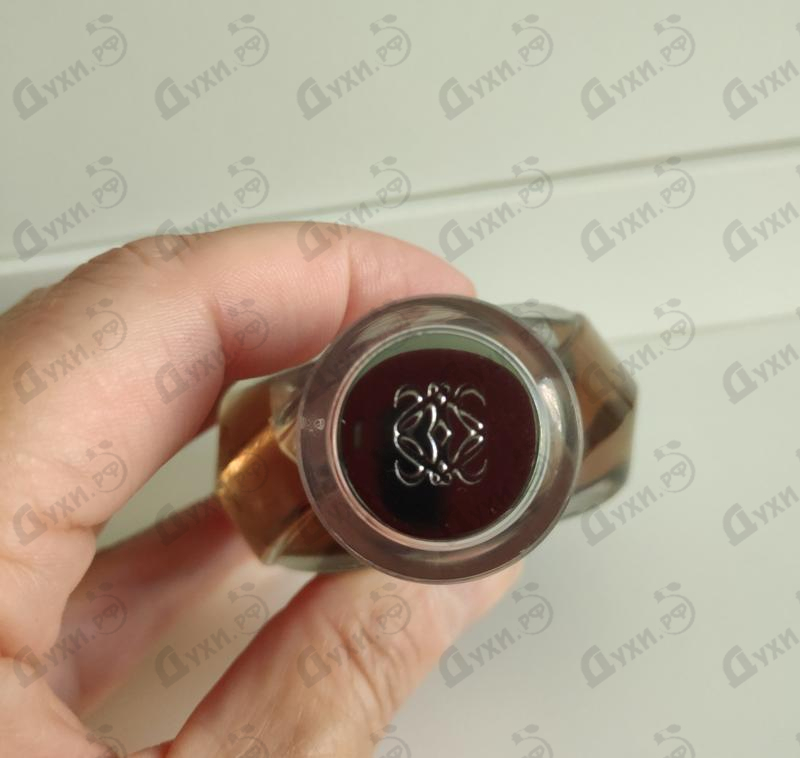 Купить Quizas,quizas,quizas от Loewe Отзывы Loewe Quizas,quizas,quizas