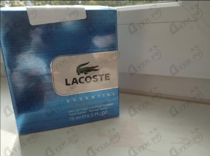 Купить Lacoste Essential Sport