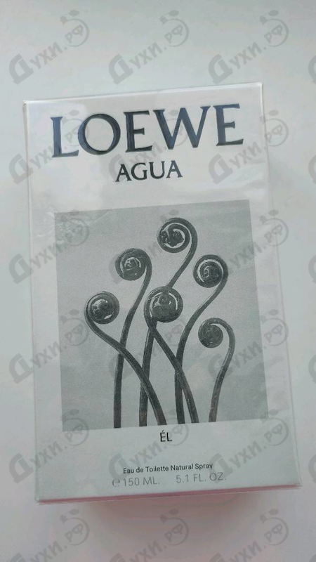 Духи Agua De Loewe El от Loewe Купить Loewe Agua De Loewe El