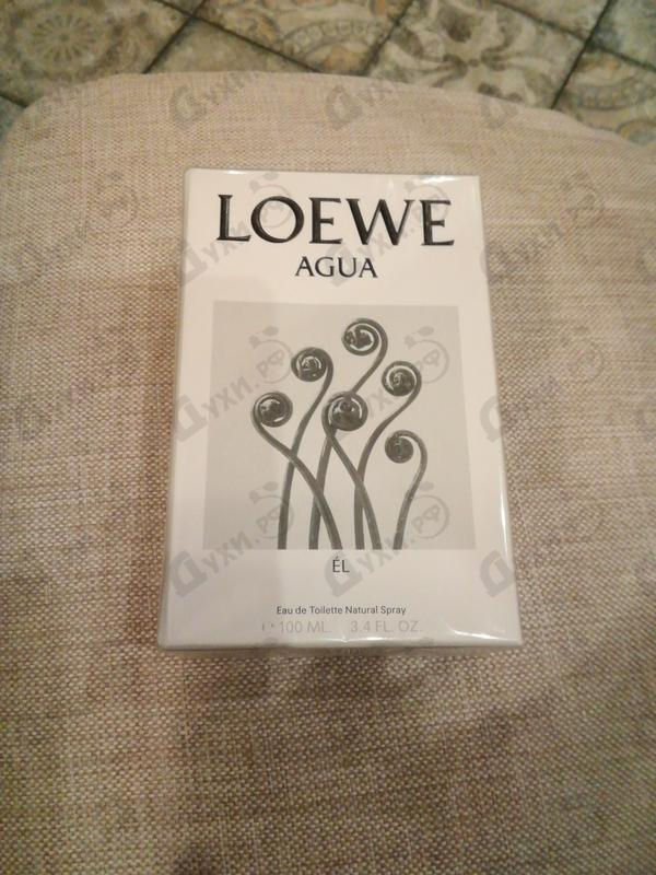 Отзыв Loewe Agua De Loewe El