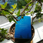 Духи Agua De Loewe El от Loewe