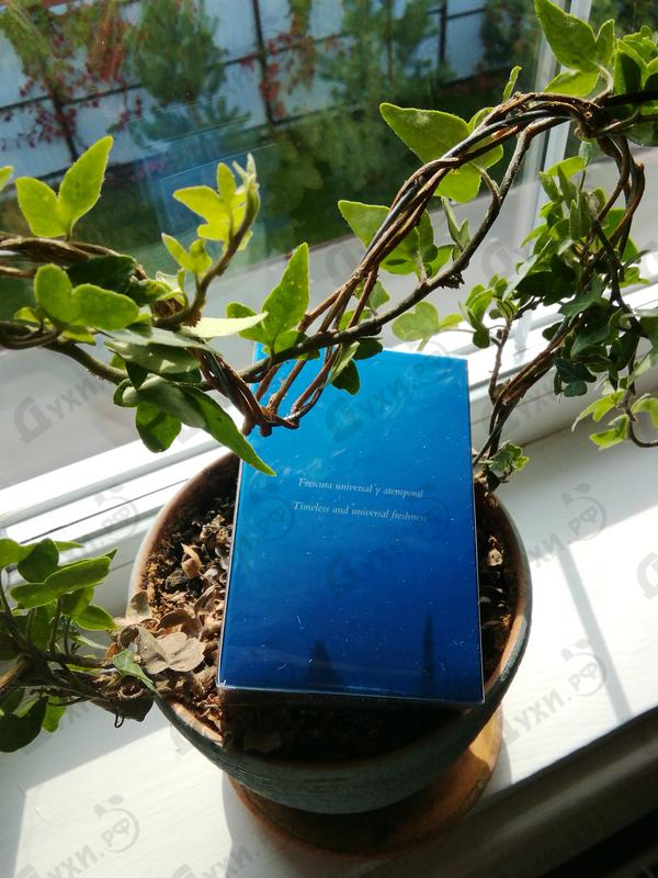 Отзывы Loewe Agua De Loewe El