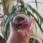 Отзыв Zarkoperfume Purple Molecule 070.07