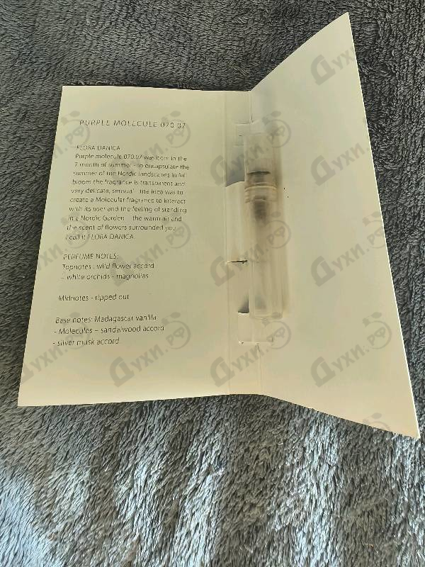 Купить Purple Molecule 070.07 от Zarkoperfume