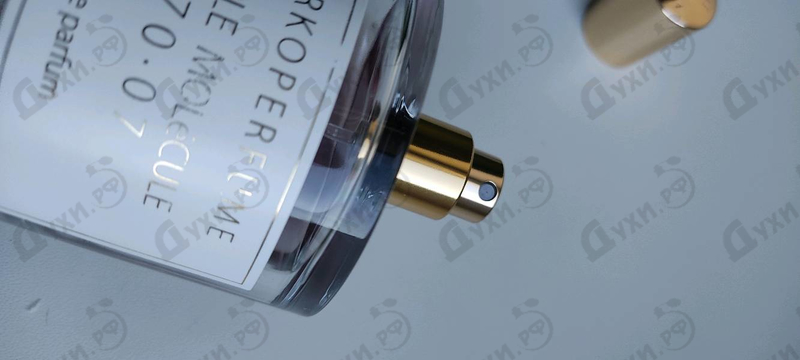 Парфюмерия Purple Molecule 070.07 от Zarkoperfume