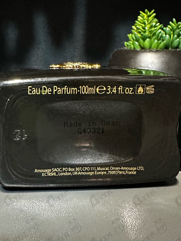 Купить Epic от Amouage