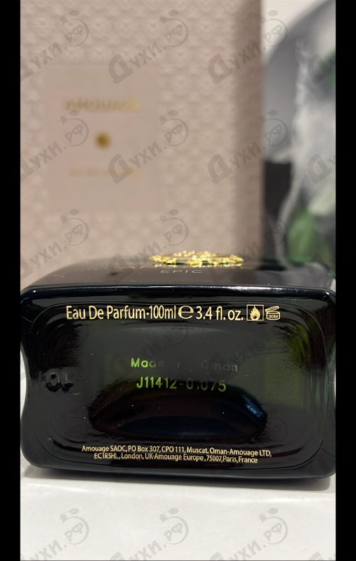 Купить Epic от Amouage