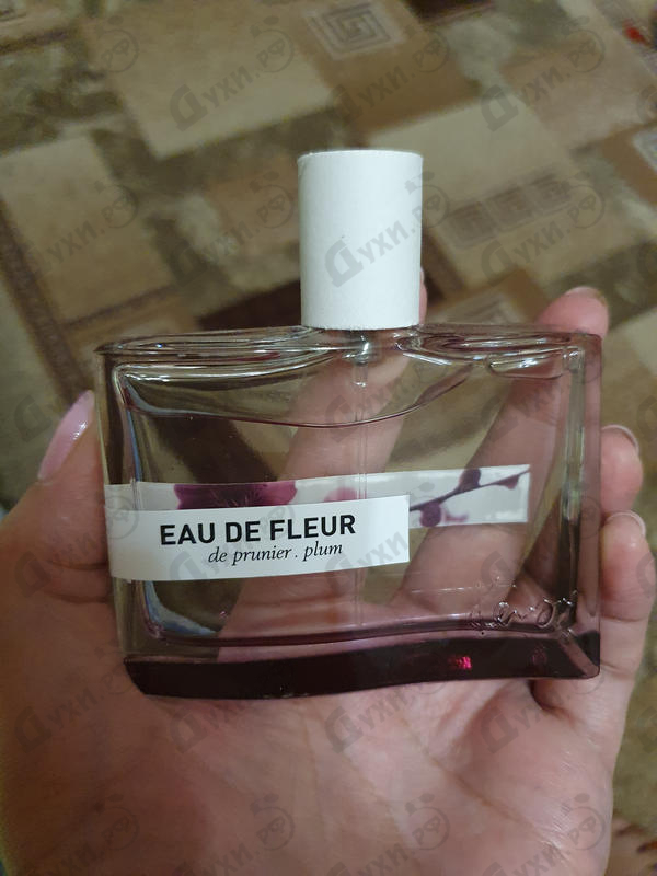 Отзыв Kenzo Eau De Fleur De Prunier Plum